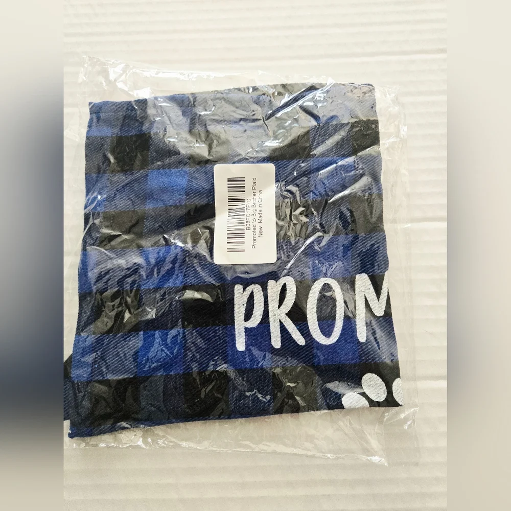 Promoted‎ to Big Brother Blue Plaid Dog Bandana, Gender Reveal Photo Prop